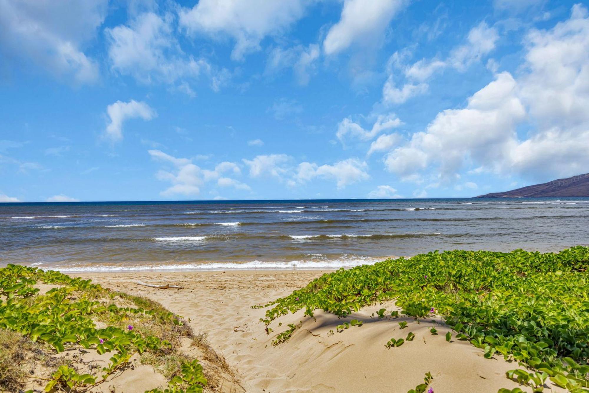 Hale Kai O'Kihei 118 빌라 외부 사진
